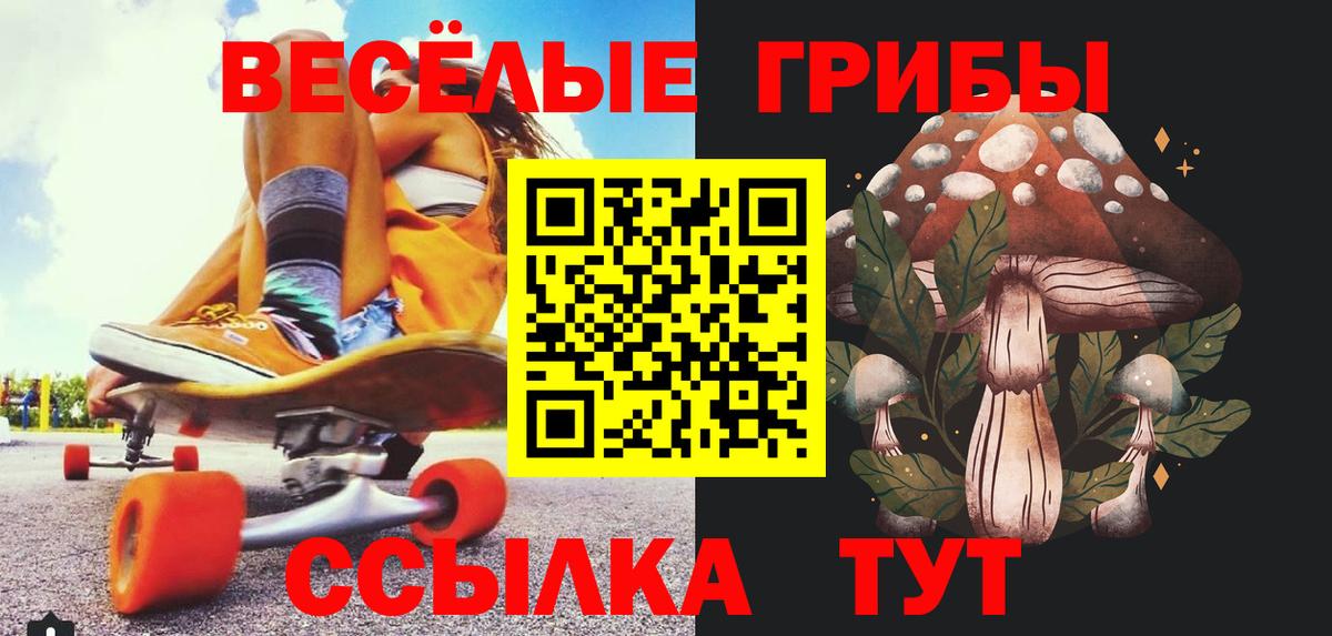 Псилоцибиновые грибы Cubensis Тавда