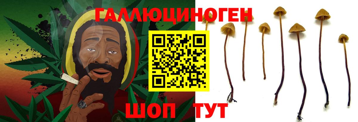 Галлюциногенные грибы мицелий  Вход с VPN  Тавда 